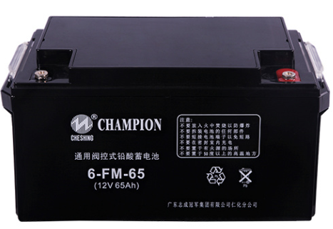 6V/12V系列普通型蓄电池